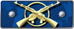 Master Guardian Elite