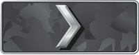 Звание Silver-I
