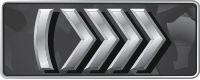 Звание Silver-Elite