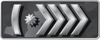 Звание Silver-Master