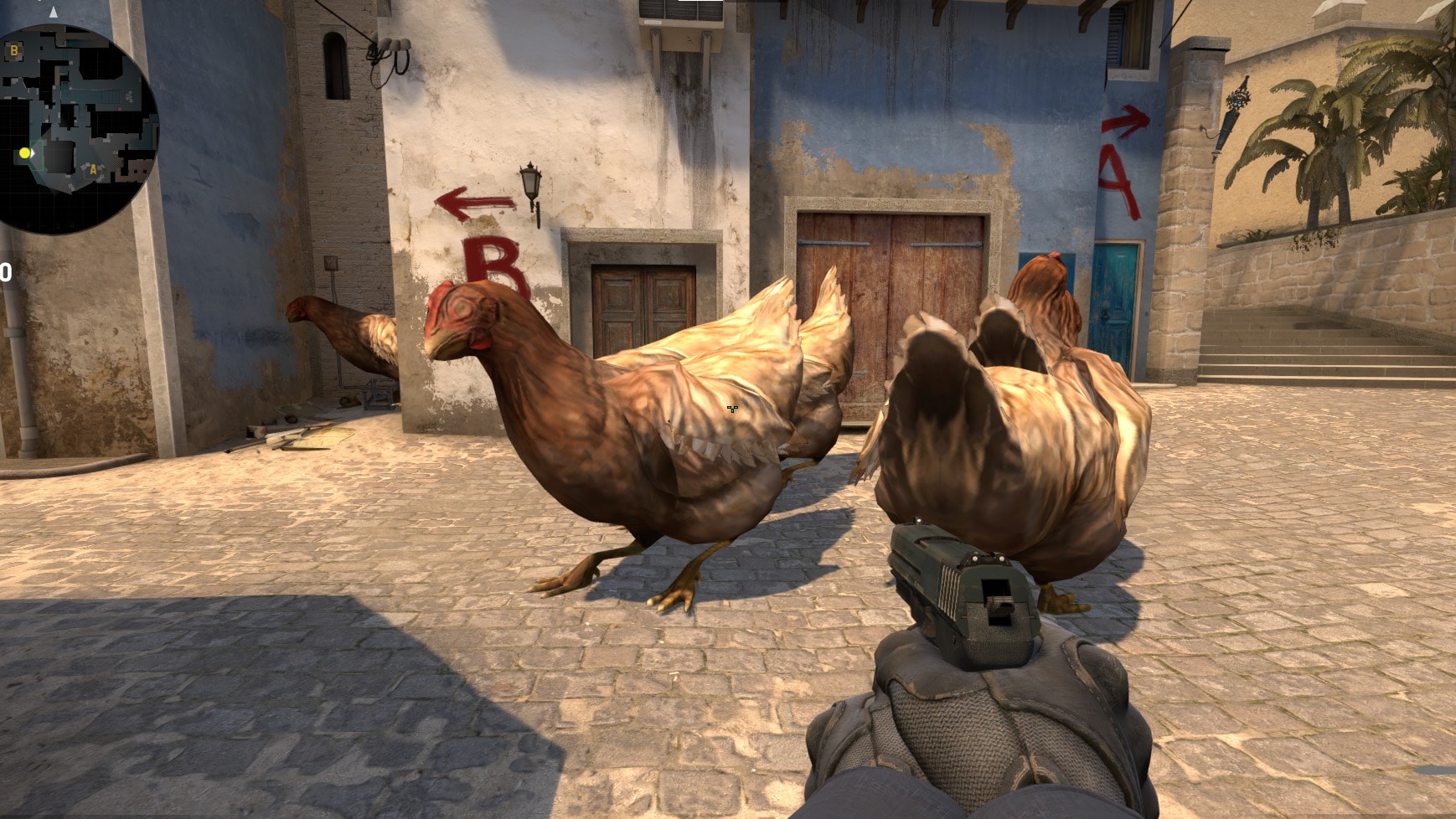 Как заспавнить курицу в CS:GO и увеличить ее