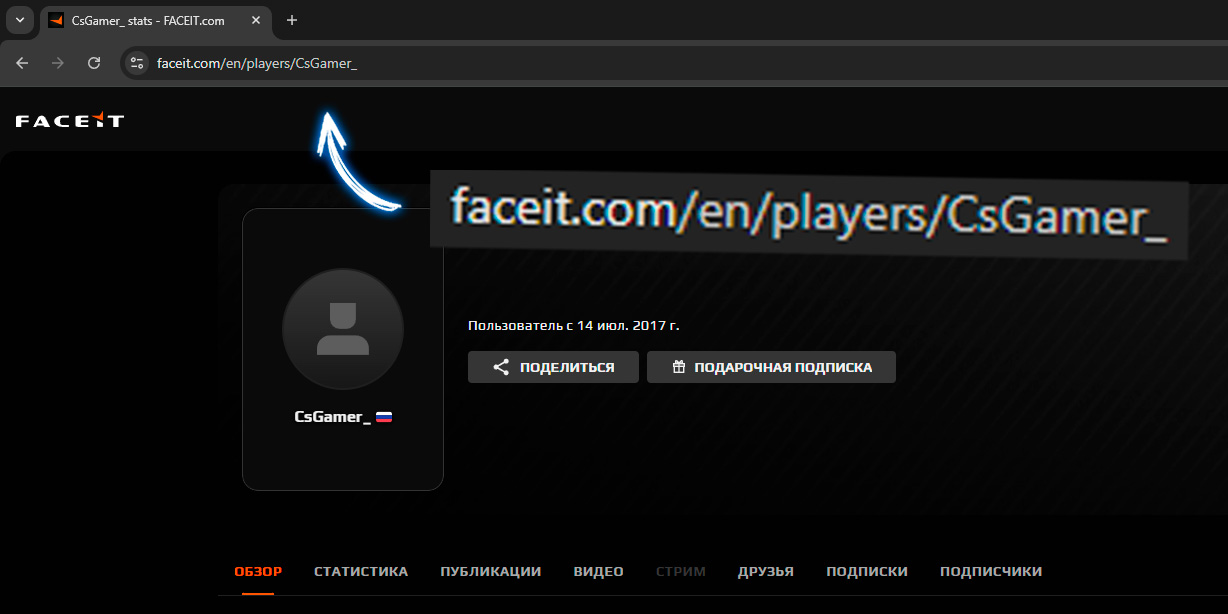 Добавление по ссылке профиля на Faceit