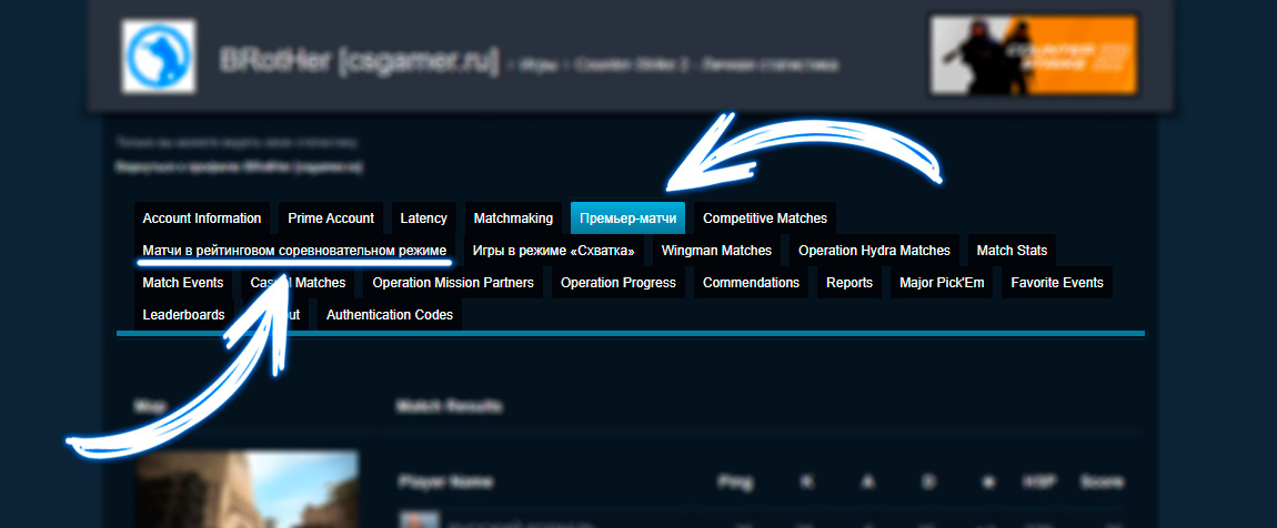 Личная статистика CS2 в Steam