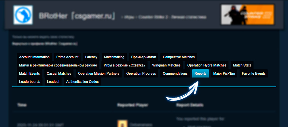 Перейдите на вкладку «Reports» в Steam