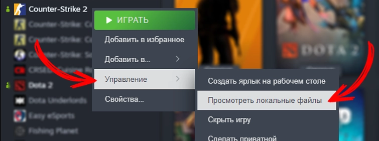 Посмотреть локальные файлы CS2